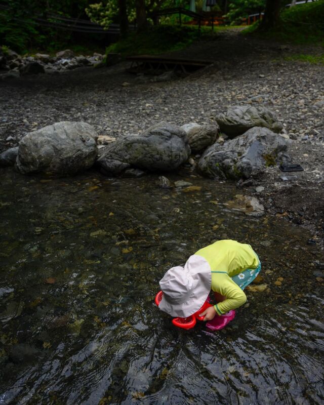 お嬢も水中覗いたり魚探したりと、怖がらずに楽しんでた。

#デイキャンプ
#キャンプ初心者
#ファミリーキャンプ 
#秋川渓谷
#캠핑
#아웃도어
#옥외