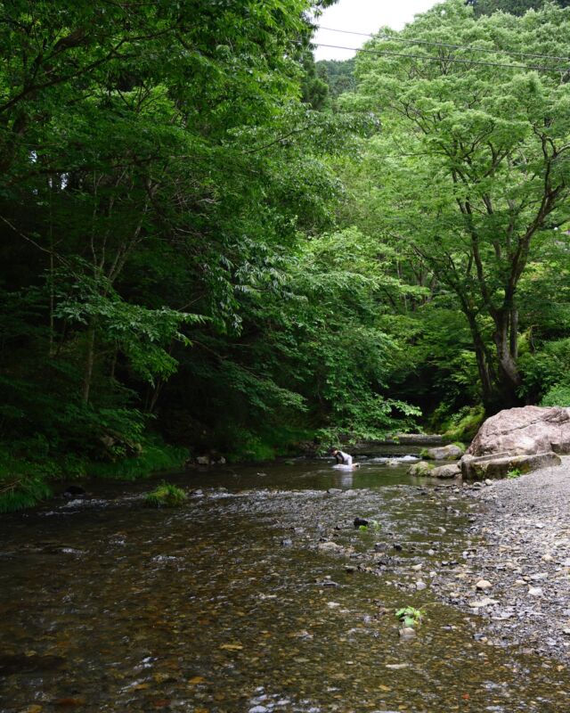 1年ぶりに秋川渓谷へ。
気温も丁度良く、川遊びを楽しめた。

緑に囲まれて、川の音聴きながらゆっくり出来て最高だった！

#デイキャンプ
#秋川渓谷

#캠핑
#아웃도어
#옥외