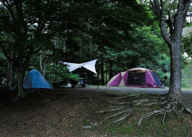 夕飯食べてる時に、虫が多く飛んできたので知人のテントに避難⛺️

こういう時は広いテントに憧れる。

•
•
•

朝5時頃のショット📷
気持ち良い🌳

#道志の森キャンプ場 
#キャンプ
#camp
#myoutdoormemories
#캠핑
#아웃도어
#옥외
#自然が好きな人と繋がりたい