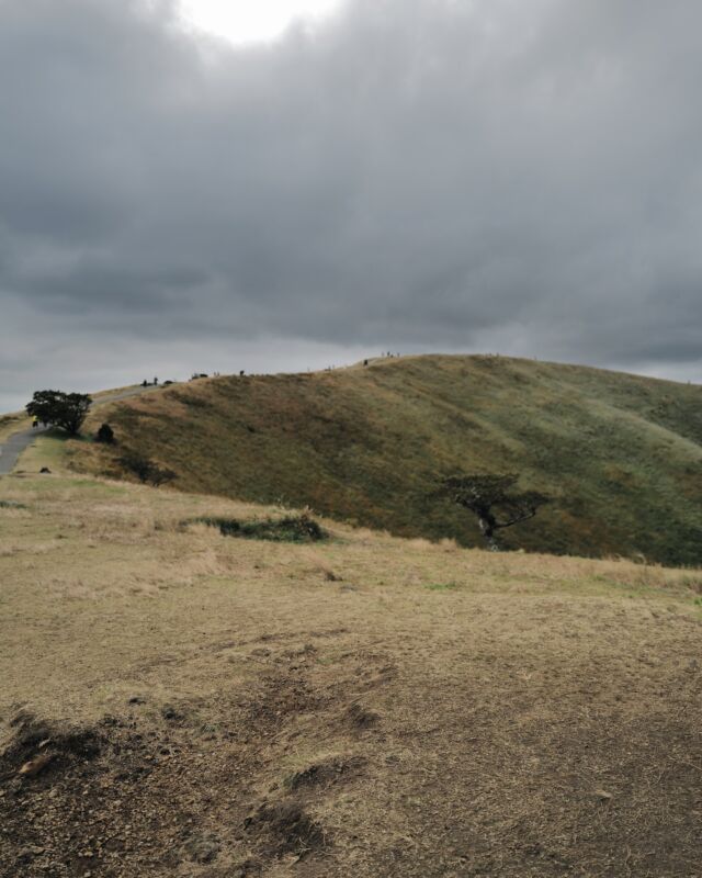 登山とまではいかないけど、リフト乗って頂上をぐるっと一緒に歩けたのが嬉しかった⛰️

バスケもやってるからだいぶ体力ついてきたな👦🏻

風も強くて寒かった…

#息子
#ハイキング
#思い出
#leicaq2